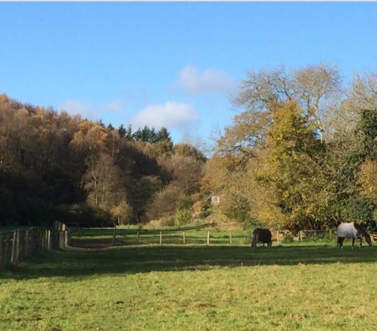 Woodmill Farm Cottage Alvington Εξωτερικό φωτογραφία