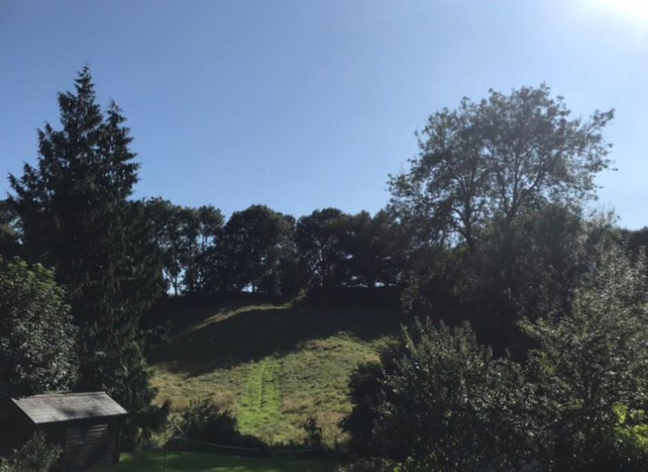 Woodmill Farm Cottage Alvington Εξωτερικό φωτογραφία