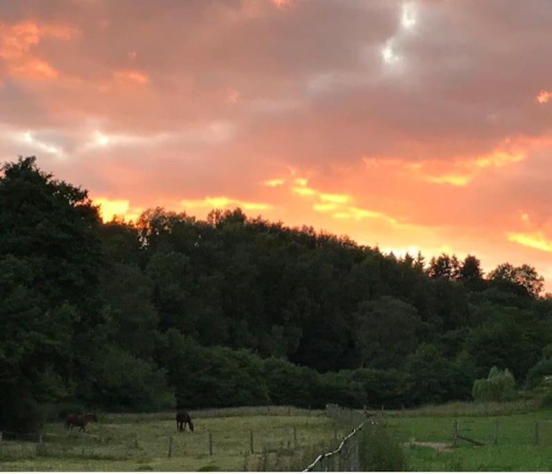 Woodmill Farm Cottage Alvington Εξωτερικό φωτογραφία