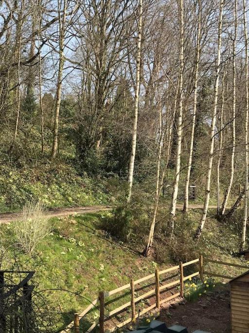 Woodmill Farm Cottage Alvington Εξωτερικό φωτογραφία